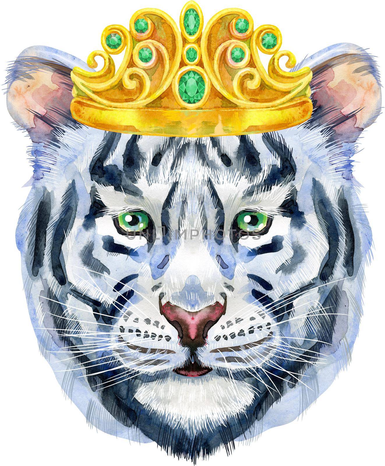 Watercolor illustration of white tiger in golden crown