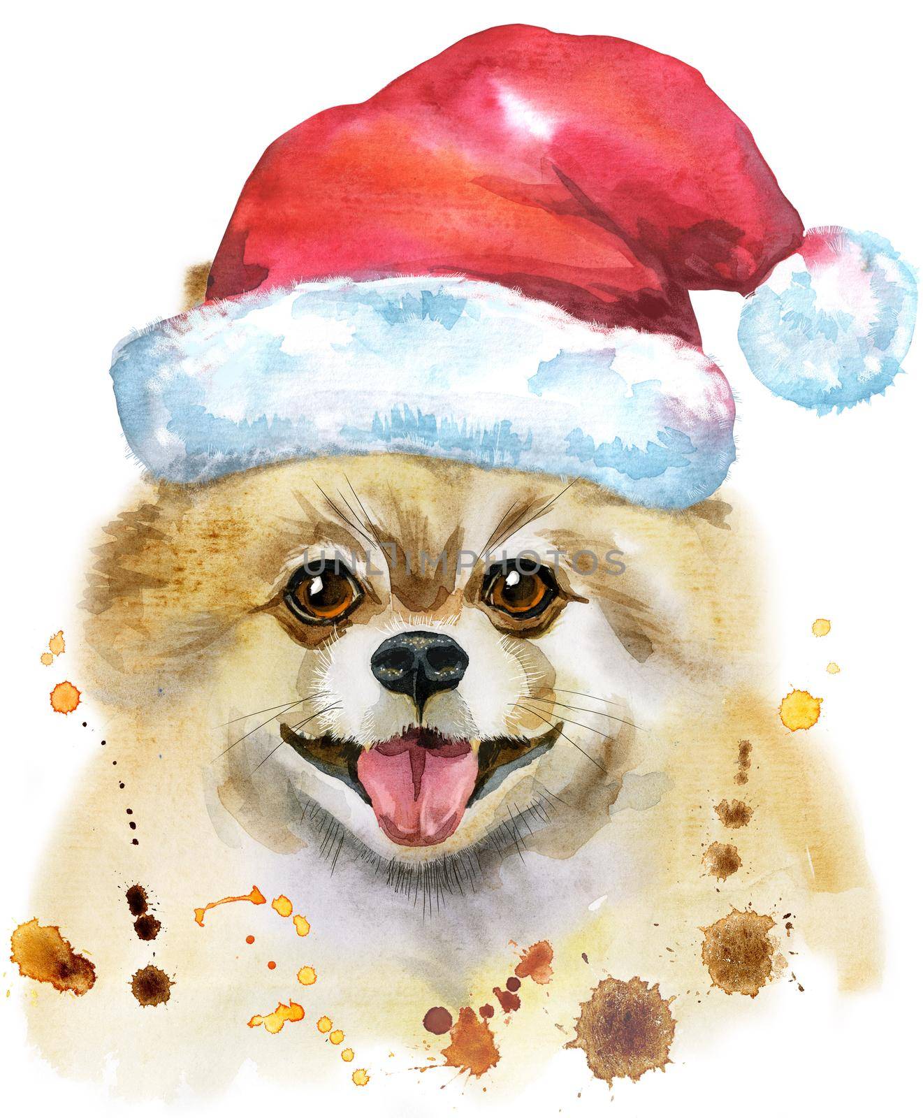 Cute Dog. Dog T-shirt graphics. watercolor pomeranian spitz illustration with Santa hat
