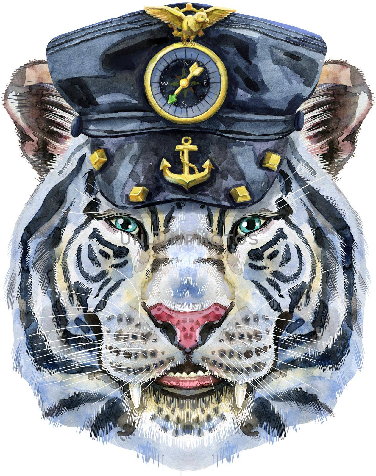 Colorful white tiger in leather cap. Wild animal watercolor illustration on white background by NataOmsk