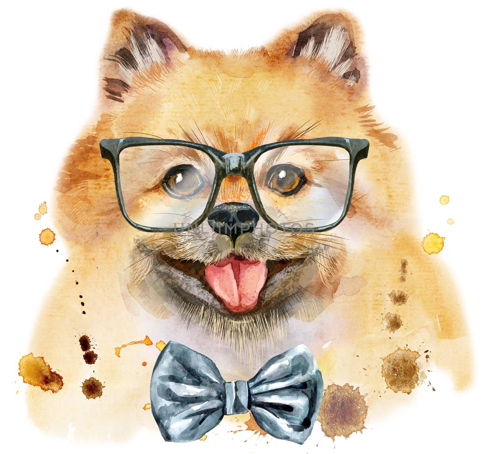 Watercolor portrait of dog pomeranian spitz with bow-tie and glasses by NataOmsk