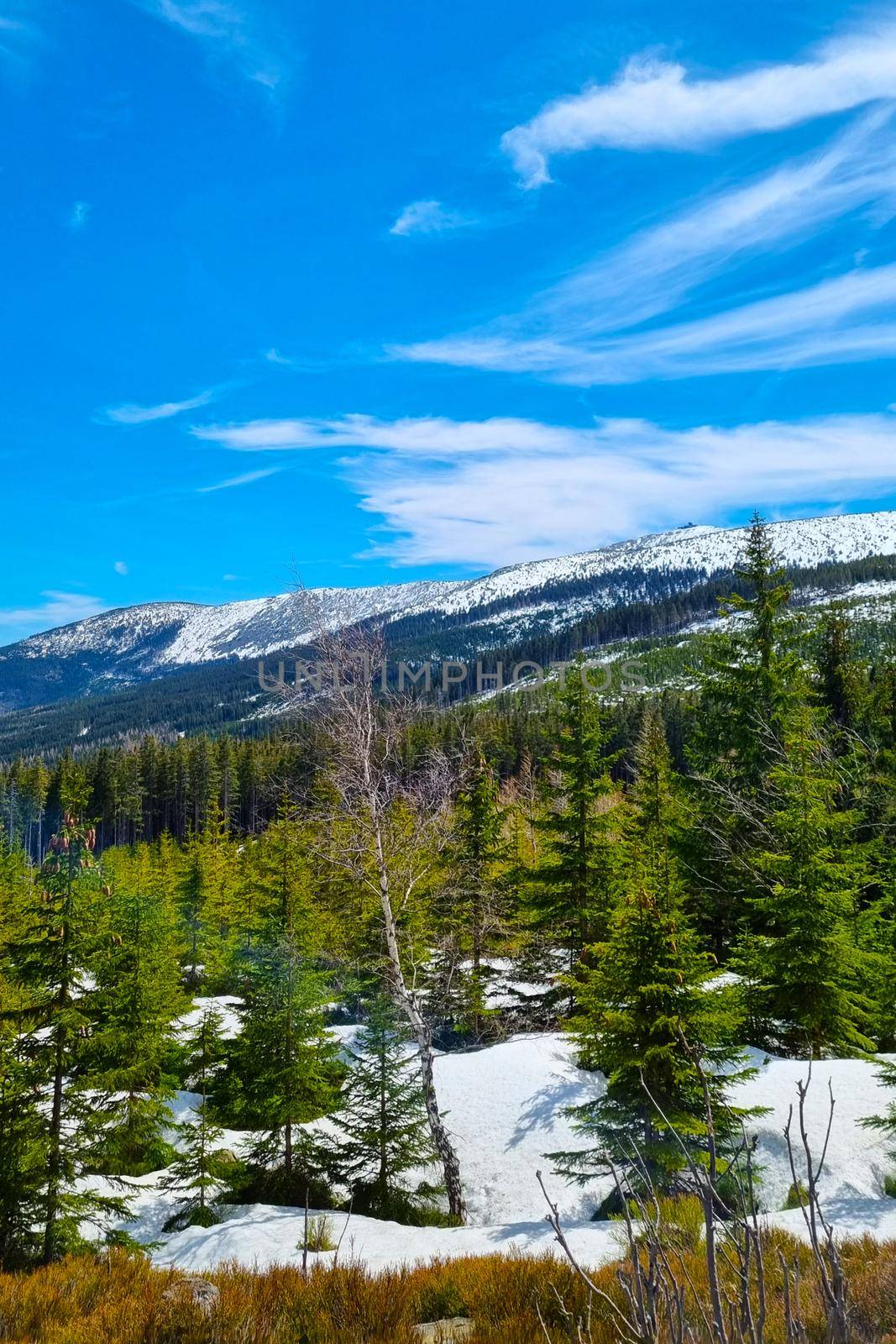 Picturesque view of the snow-capped peaks of the mountain