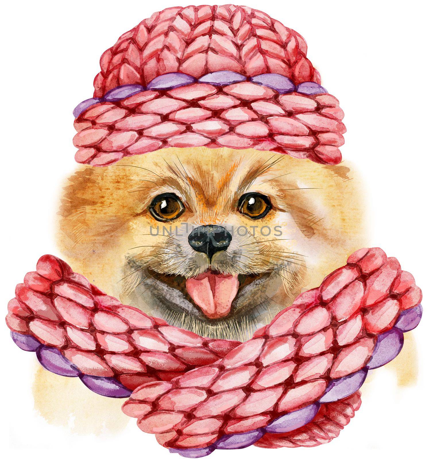 Cute Dog with pink knitted hat. Dog T-shirt graphics. watercolor pomeranian spitz illustration