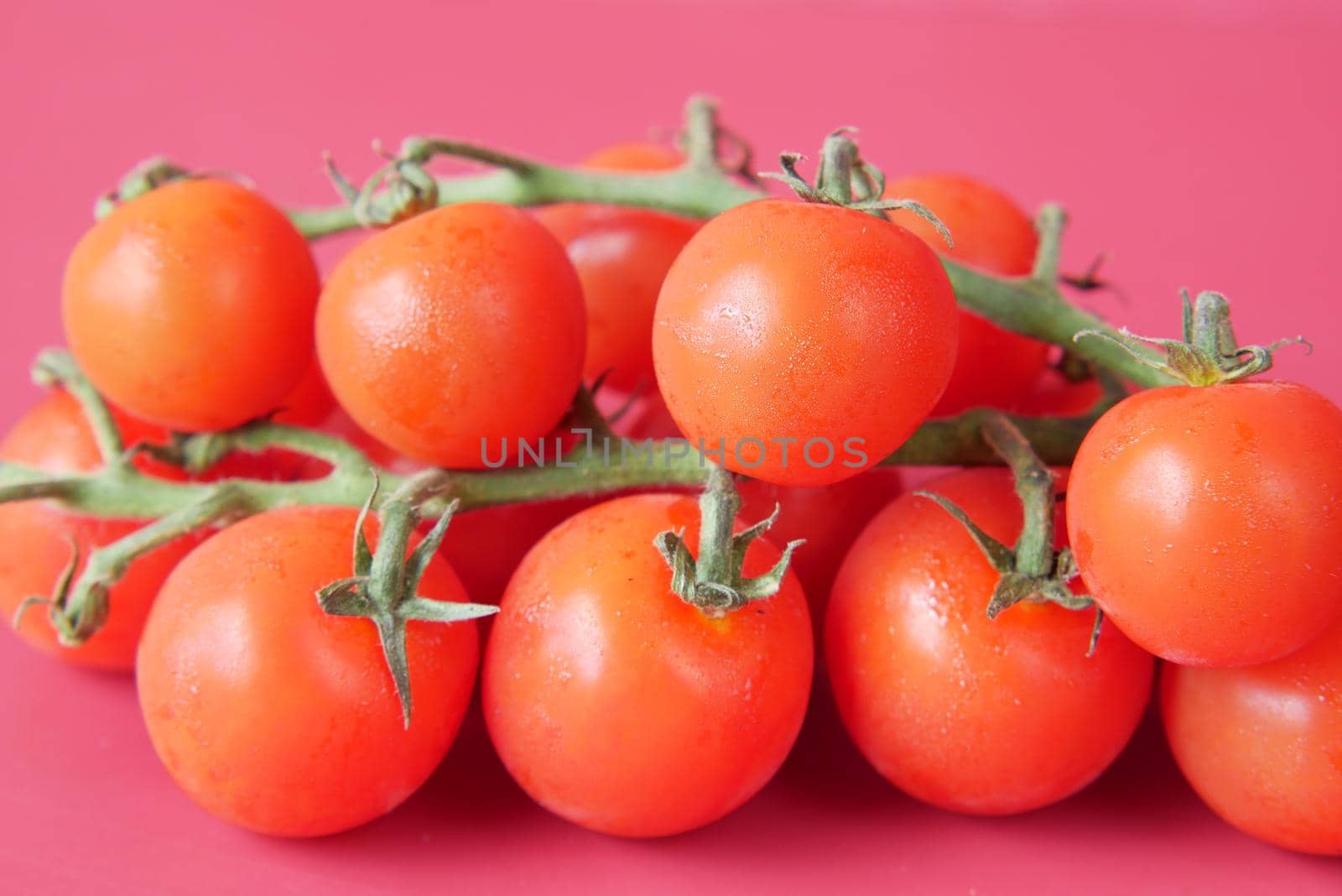 red color cherry tomato on red background .