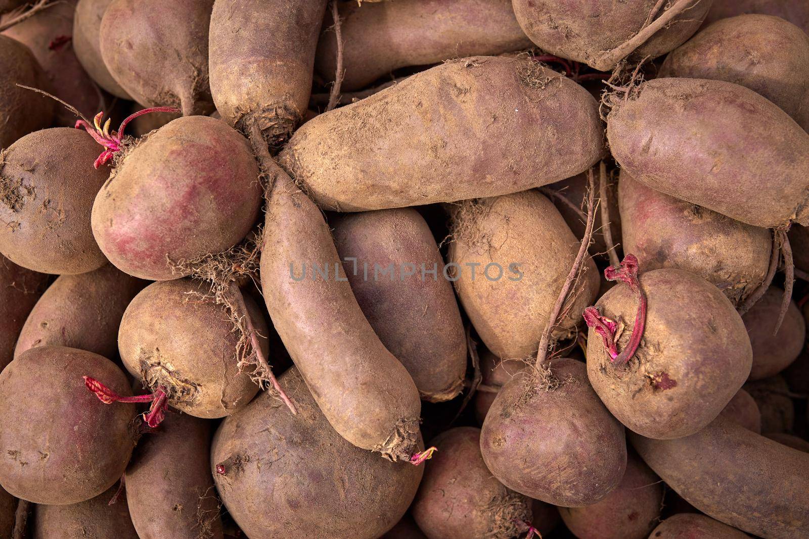 Fresh beets as background. Beets on the market.