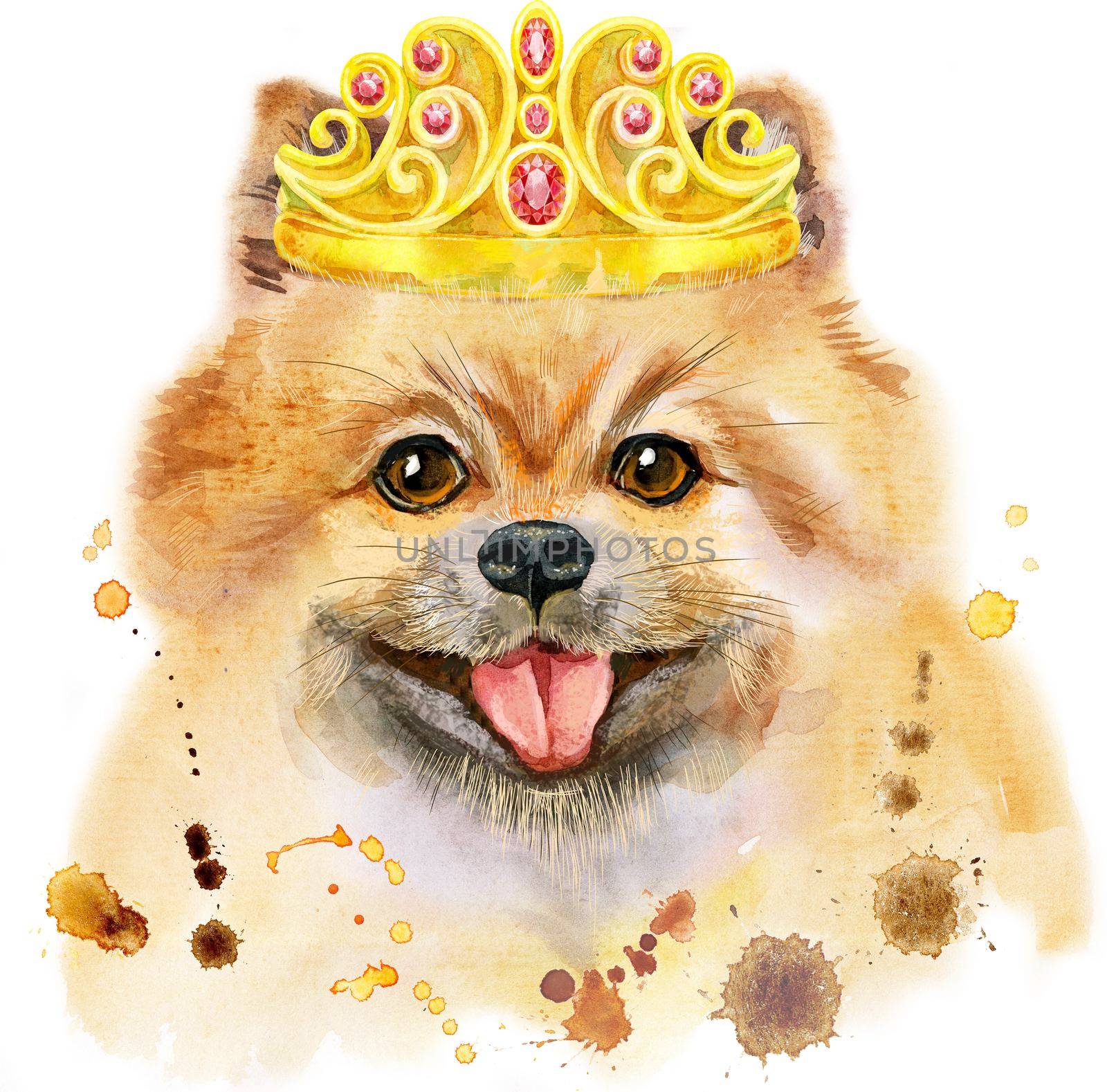 Cute Dog with golden crown. Dog T-shirt graphics. watercolor pomeranian spitz illustration