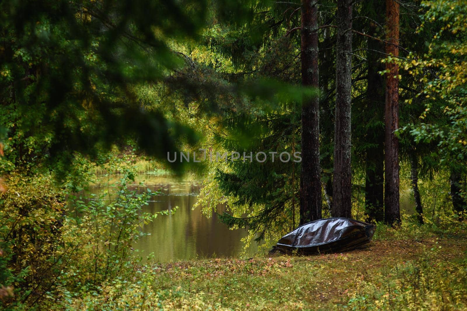 An old metal boat on the shore of the lake in the autumn by oracal