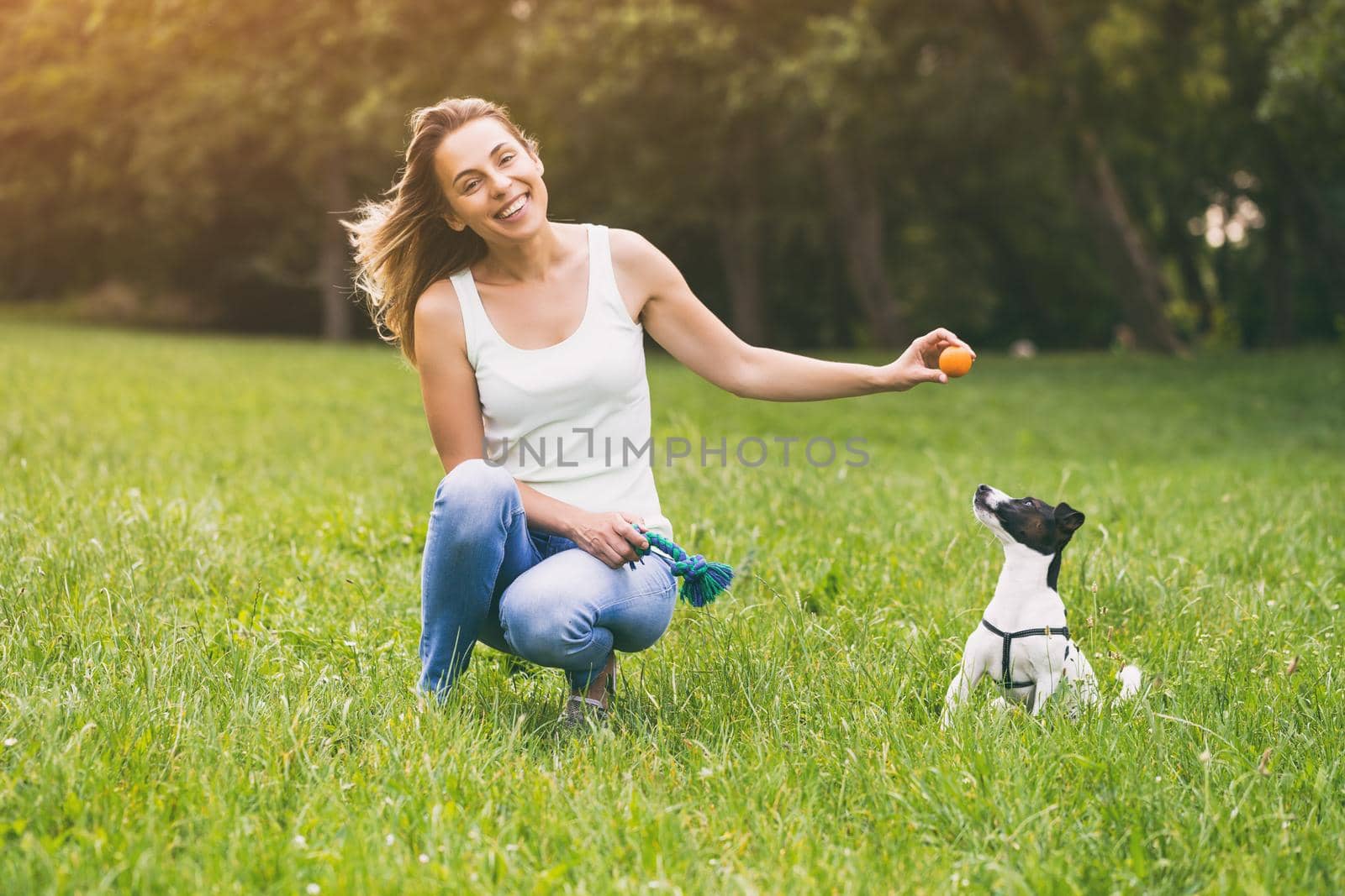 Woman  playing with her  dog Jack Russell Terrier in the nature by Bazdar