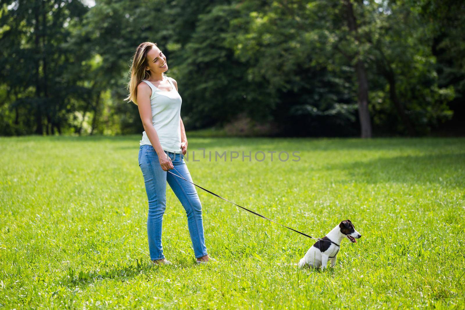 Woman  walking with her  dog Jack Russell Terrier in the nature by Bazdar