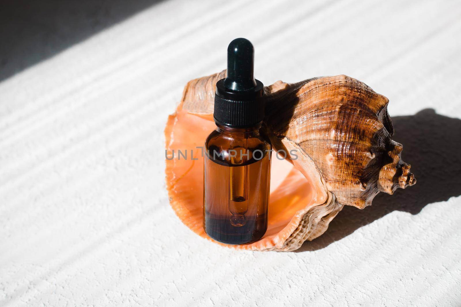 Cosmetic oil and shells . A container for cosmetic oil. Cosmetology. Skin care. Seashell. Article about the choice of facial oil