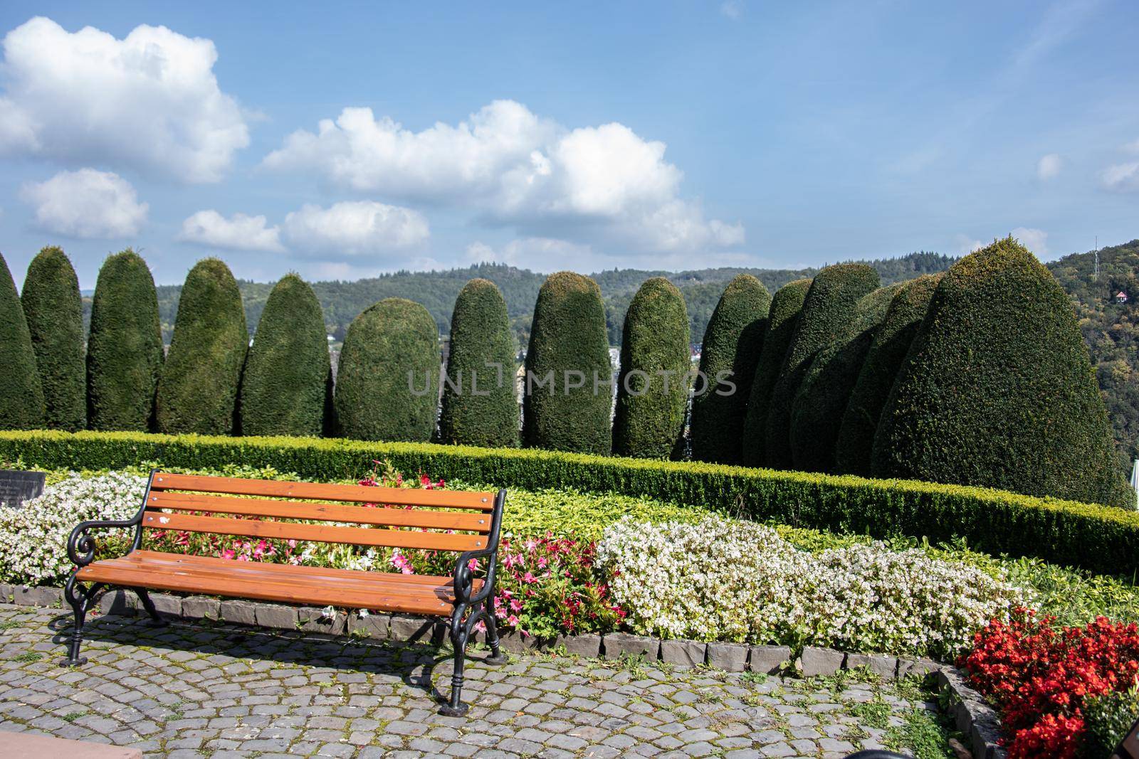 colored plants and fowers in the Dillenburg Park
