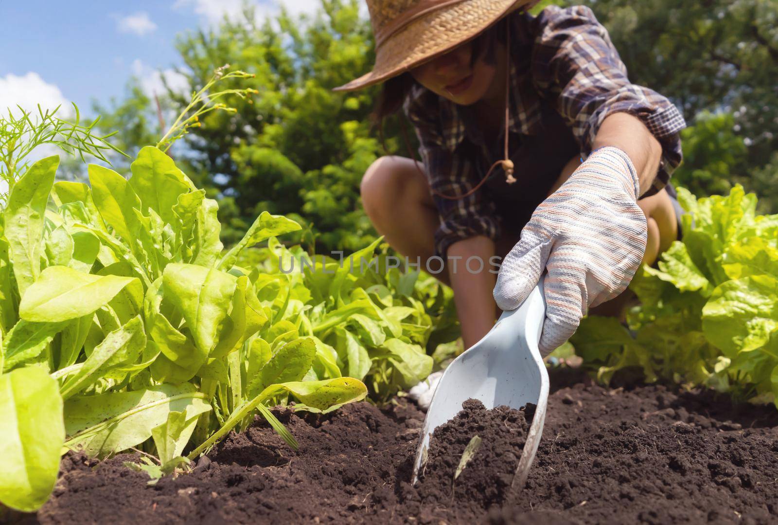 A young girl in gloves prepares the soil in the garden for planting seedlings, using such an inventory as garden trowel and rake, close up view.