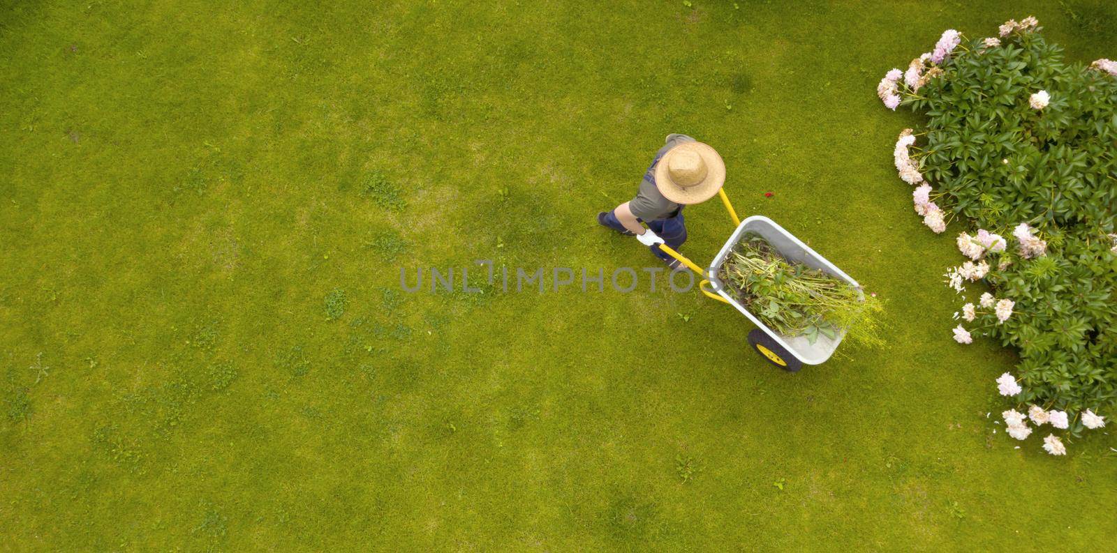 A young man with hands in gloves is carrying a metal garden cart through his beautiful green blooming garden. A professional gardener is carrying a wheelbarrow full of grass