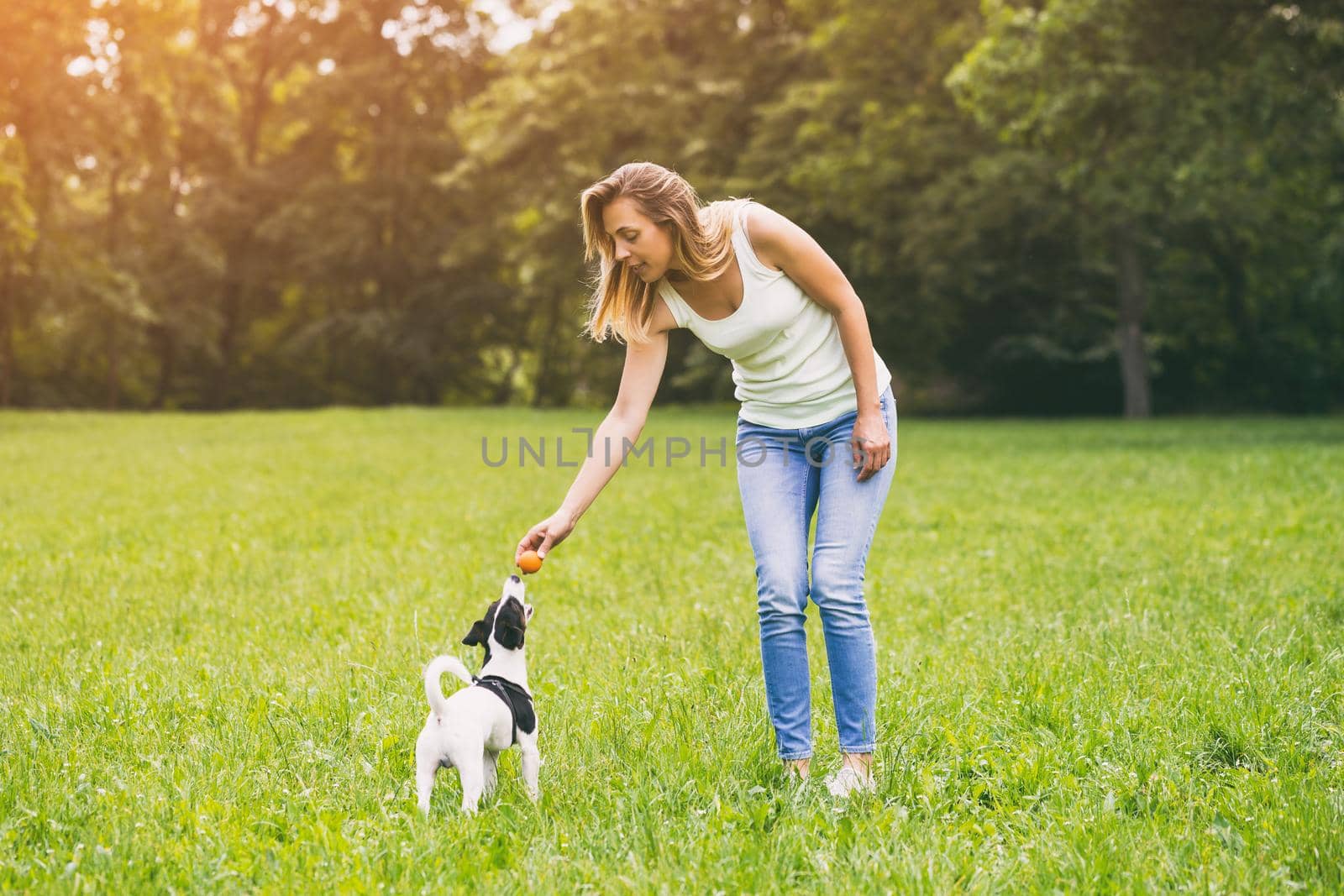 Woman  playing with her  dog Jack Russell Terrier in the nature by Bazdar