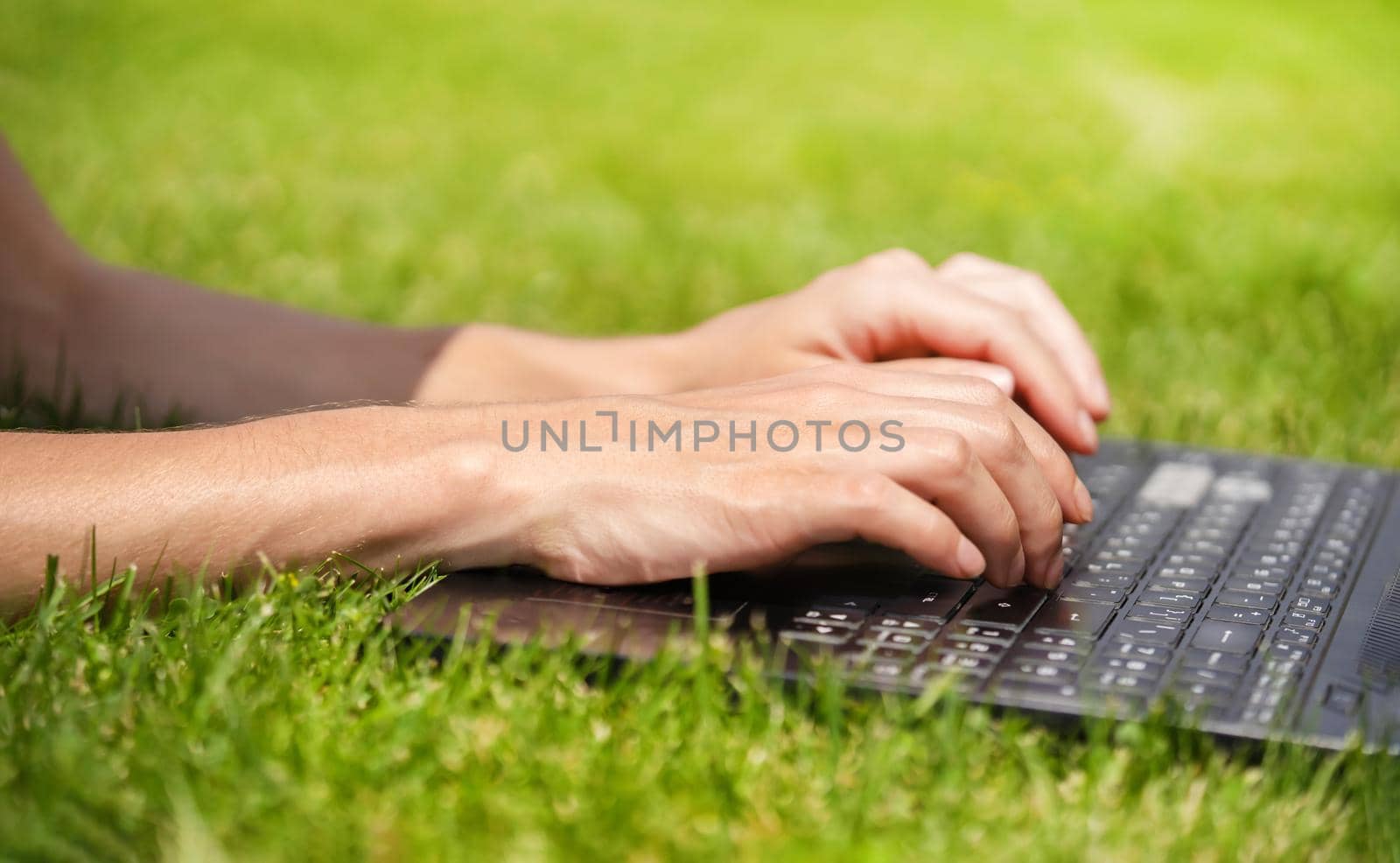 Female Hands are typing on the laptop keyboard, a young girl is engaged in freelancing, studies, resting on a meadow in the park, lying on the grass.