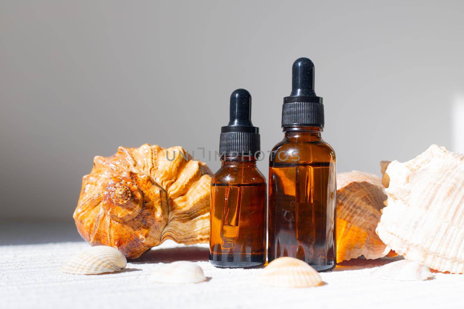 Cosmetic oil and shells . A container for cosmetic oil. Cosmetology. Skin care. Seashell. Article about the choice of facial oil