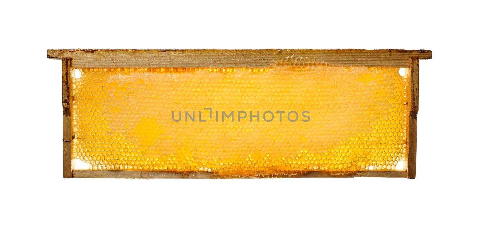 Close up fresh golden comb honey wooden frame isolated on white background, side view