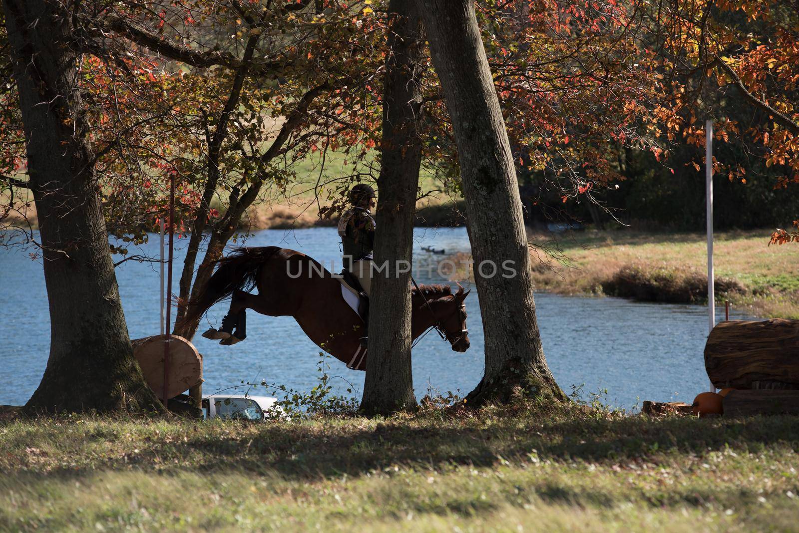 Equestrian competition photos including cross country jumping horse riders