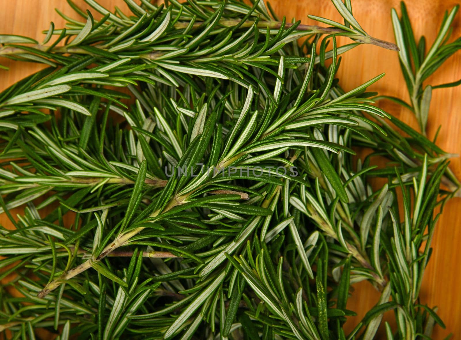 Close up fresh green rosemary leaves on wood, elevated top view, directly above