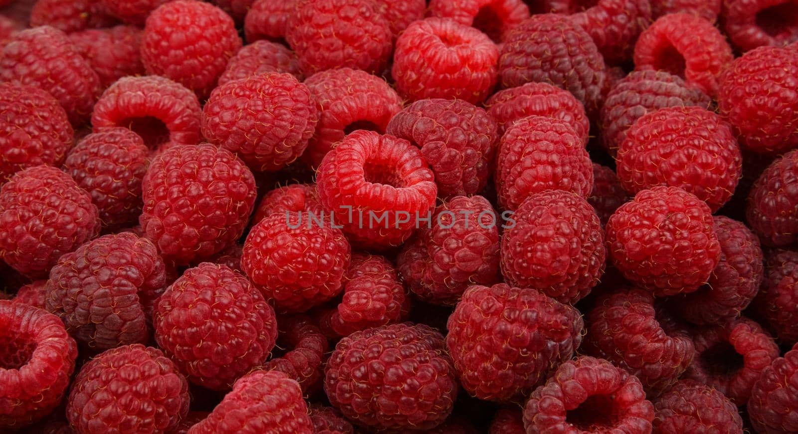 Close up background of fresh red ripe raspberry berries, elevated high angle view