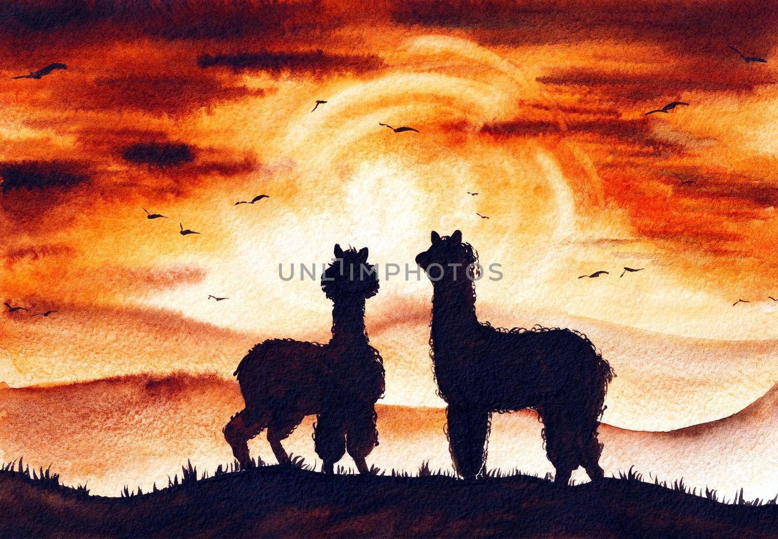 Llama Watercolor Illustration Original Art at the paper. Alpaca Poster Hand Painted in Watercolour Style. Can be used for Print Wallpaper and Background.