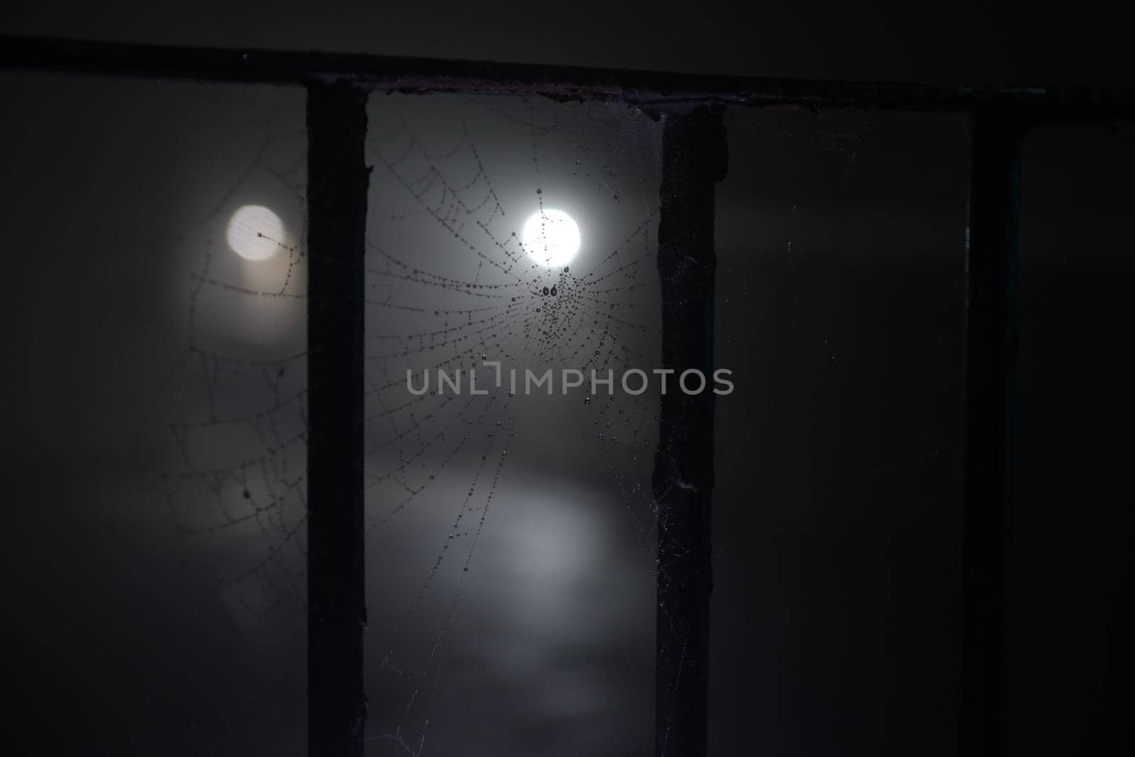 Water droplets from the heavy fog condense on the spooky cobweb that hangs between metal railings. Lit by distant street lights at night, dark image