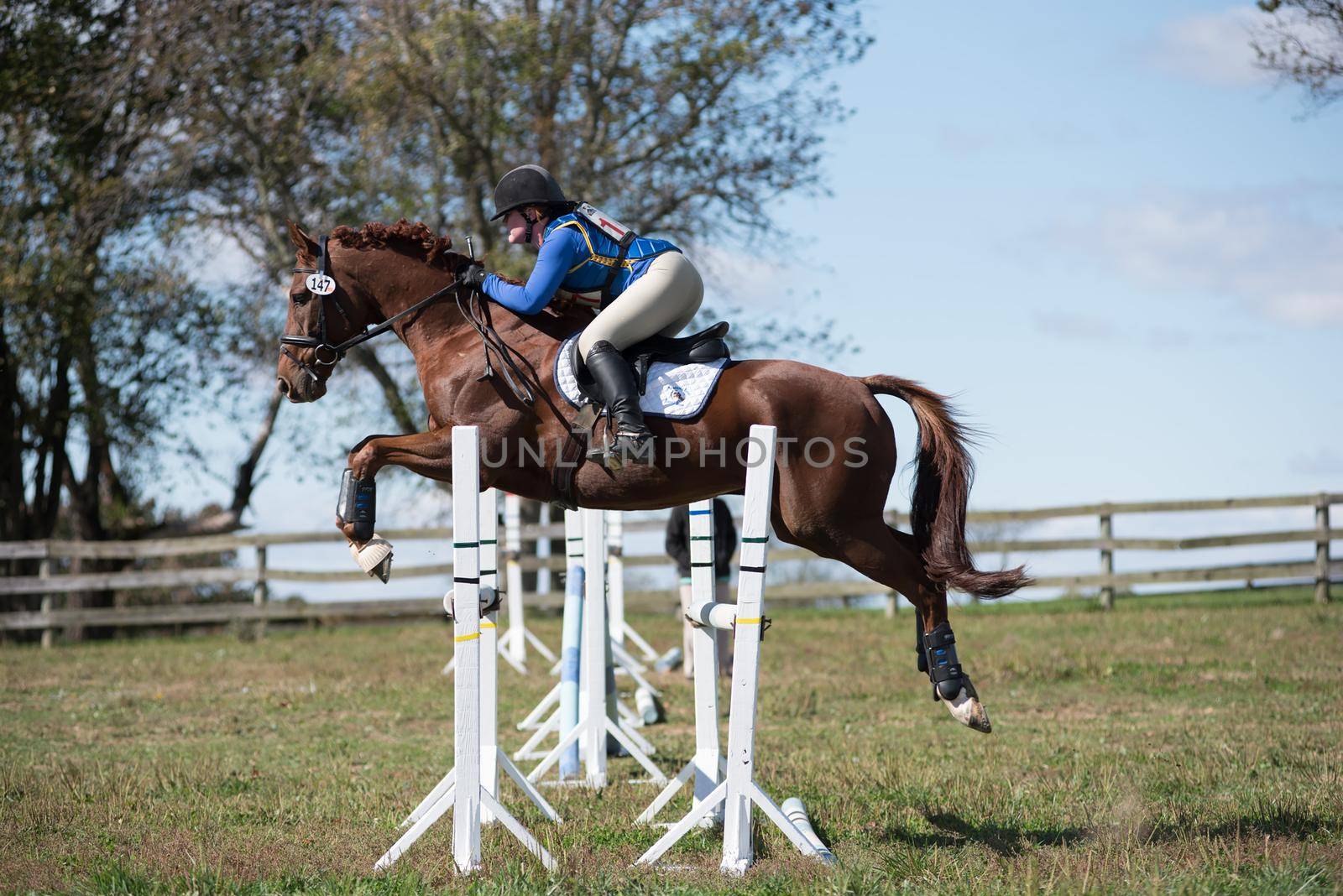 Equestrian competition photos including hunter jumper riders going over jumps