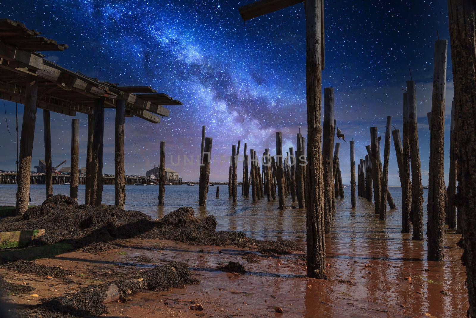 Stary sky milky way over a dilapidated old pier in Provincetown by steffstarr