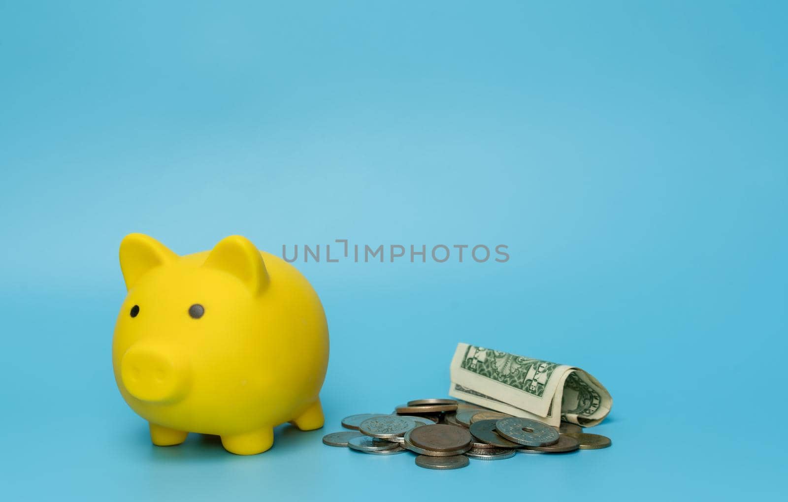 Piggy bank with money on blue background.  Save money concept