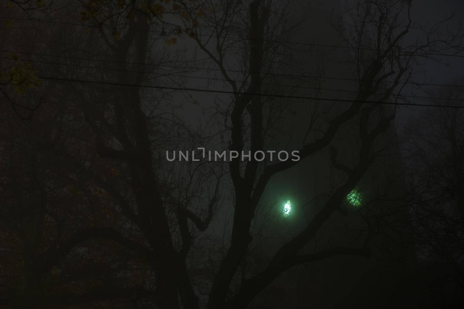 Eerie green clock face on a church tower shines through thick fog and dense tree branches with telegraph wires. Very spooky and dark night time image