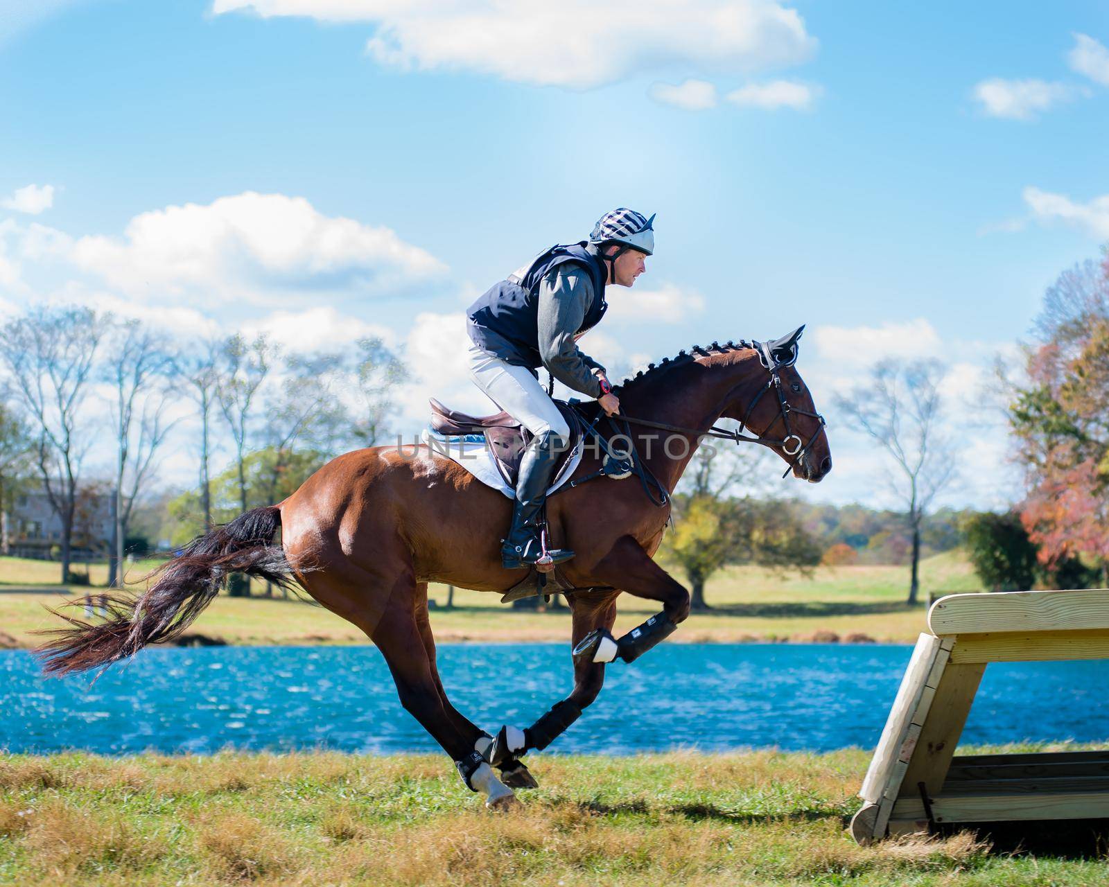 Equestrian competition photos including cross country horse riders