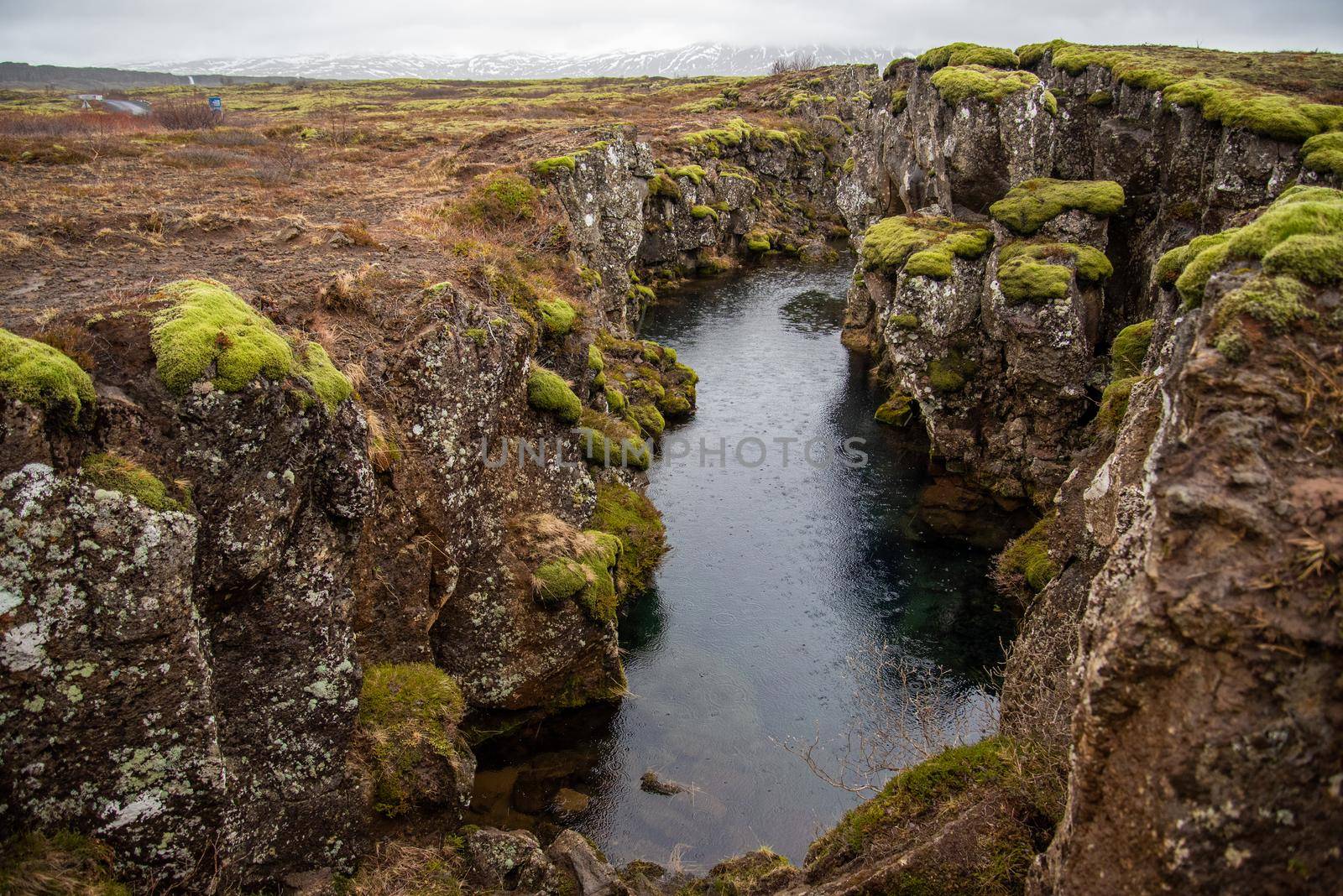 Mossy Icelandic canyon with straight riverbed by jyurinko