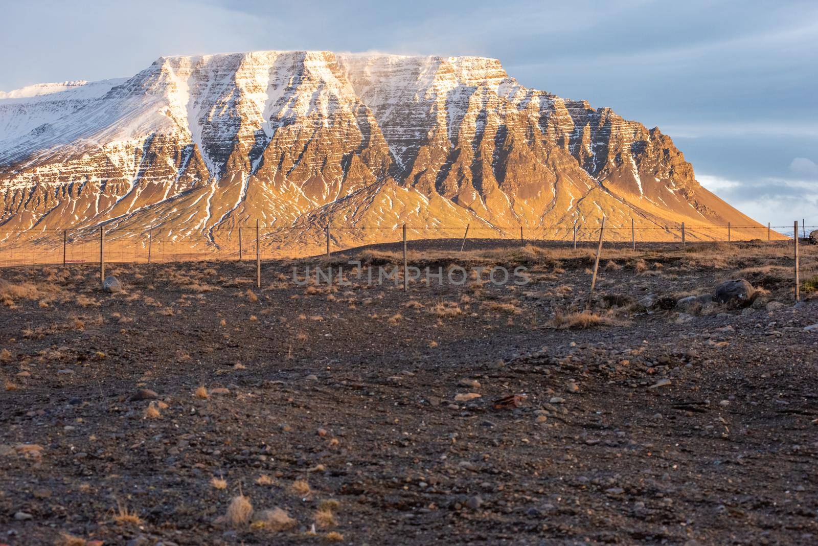 Golden brown snow capped mountain in Iceland by jyurinko