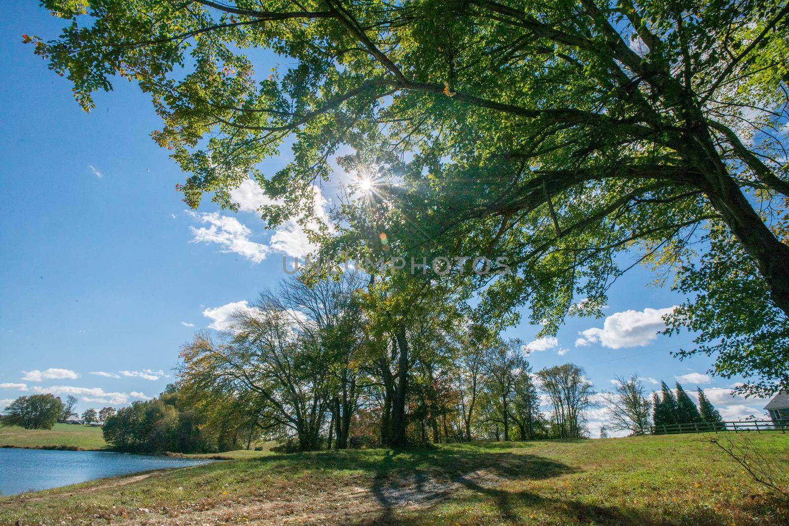 Landscape photo of cross county horse track with beautiful trees and water