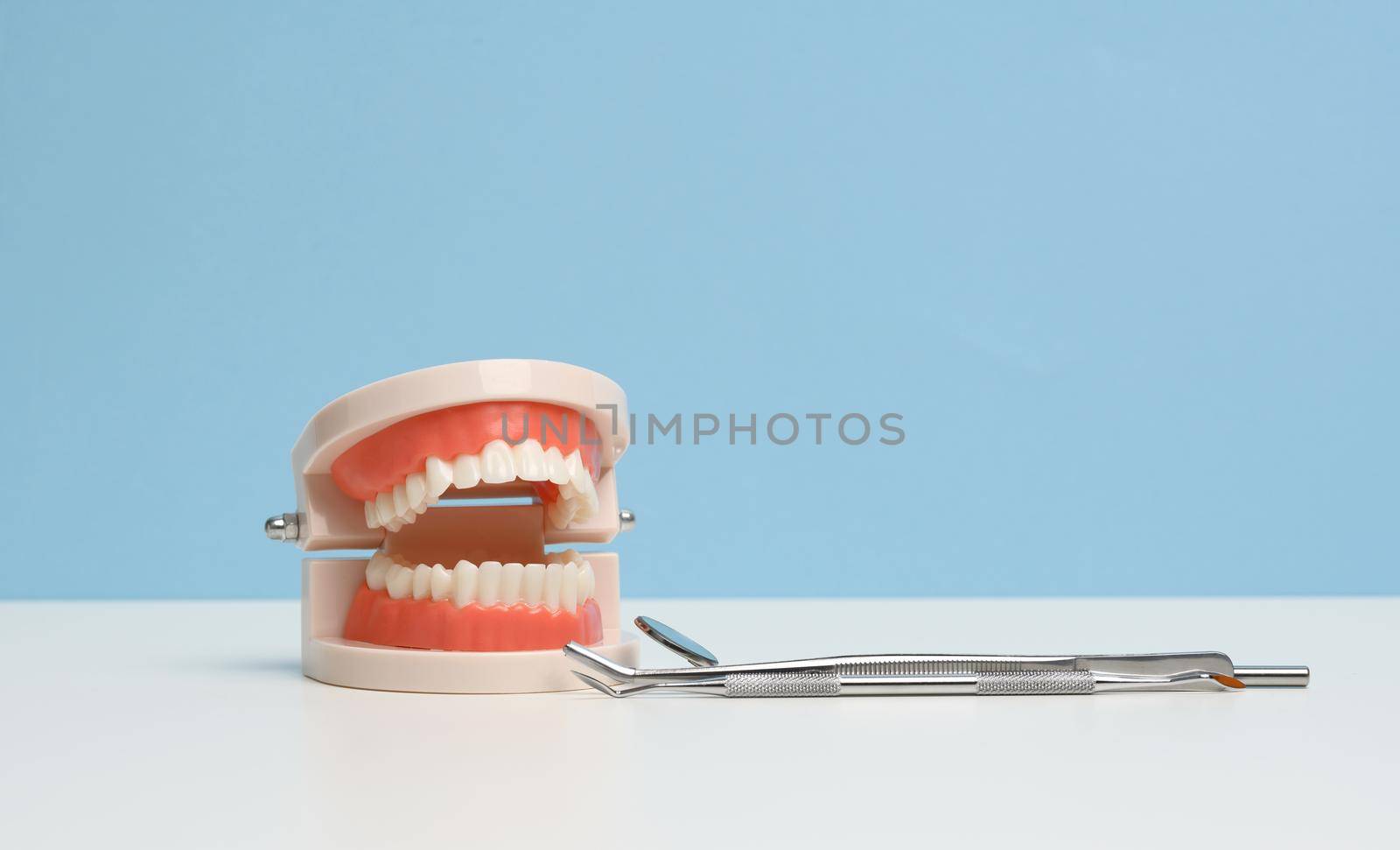 plastic model of human jaw with white even teeth and a medical examination mirror on a white table, oral hygiene
