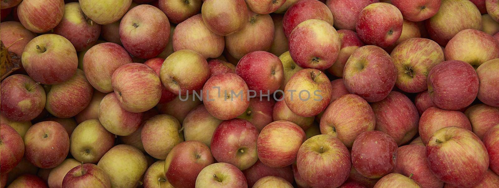 Apples texture detail, banner image with copy space