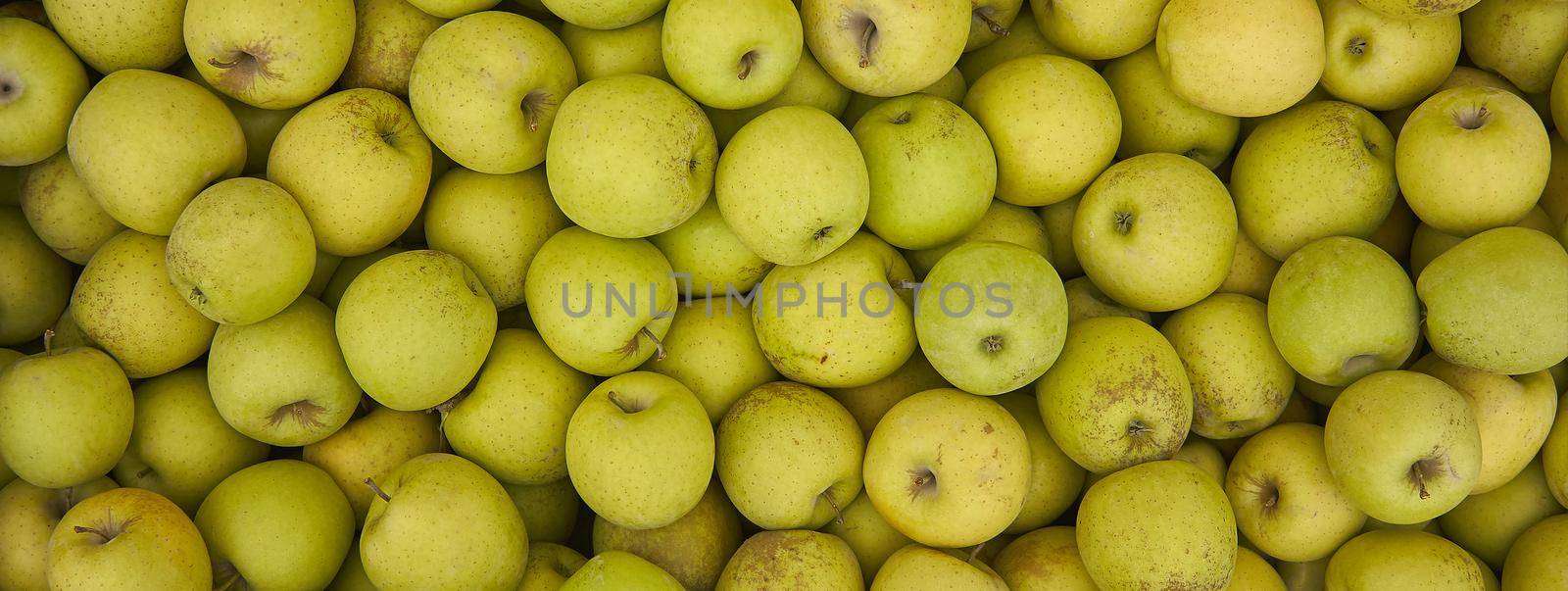 Green apple texture, banner image with copy space