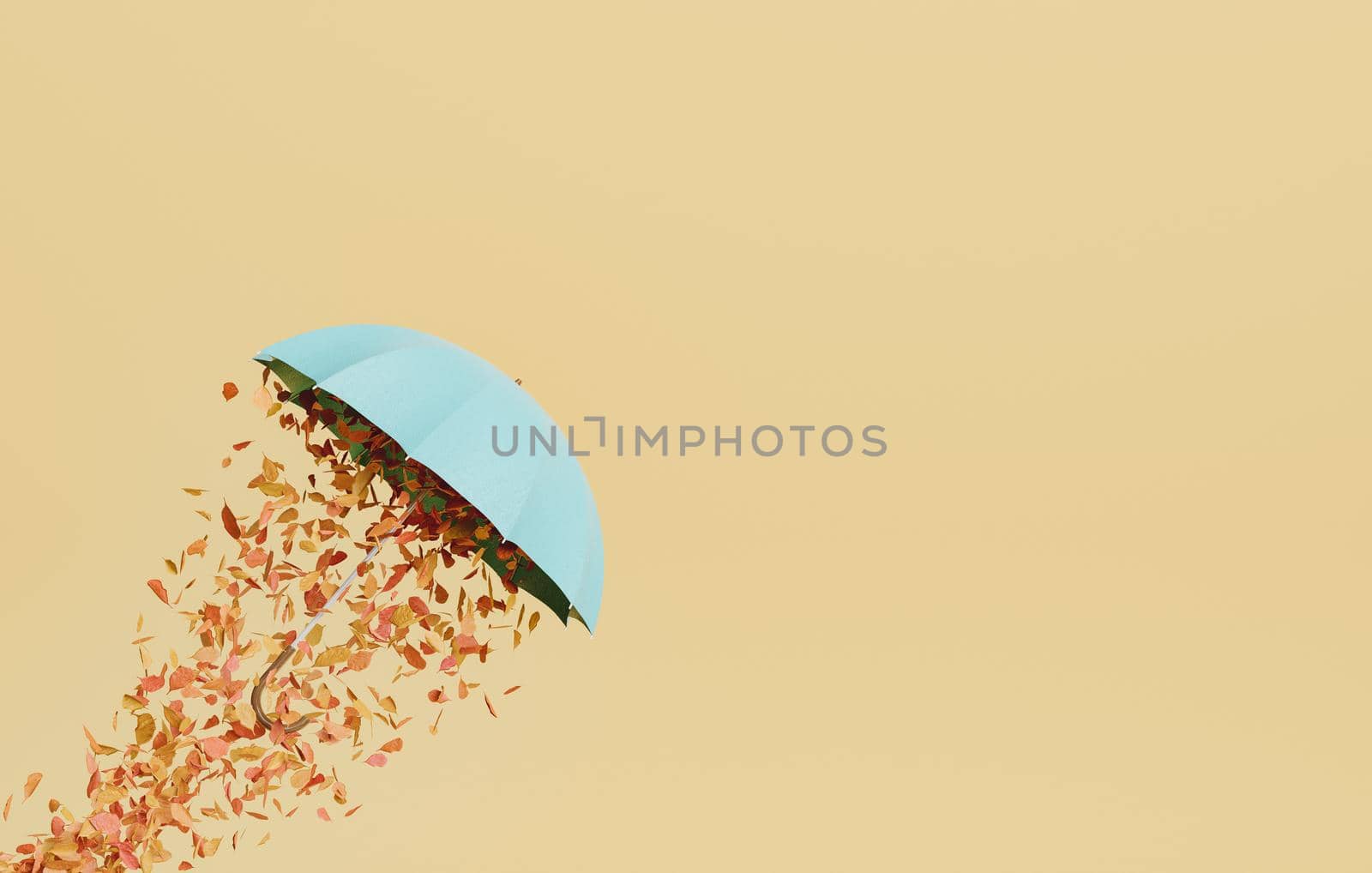 autumn leaves coming out of an umbrella by asolano