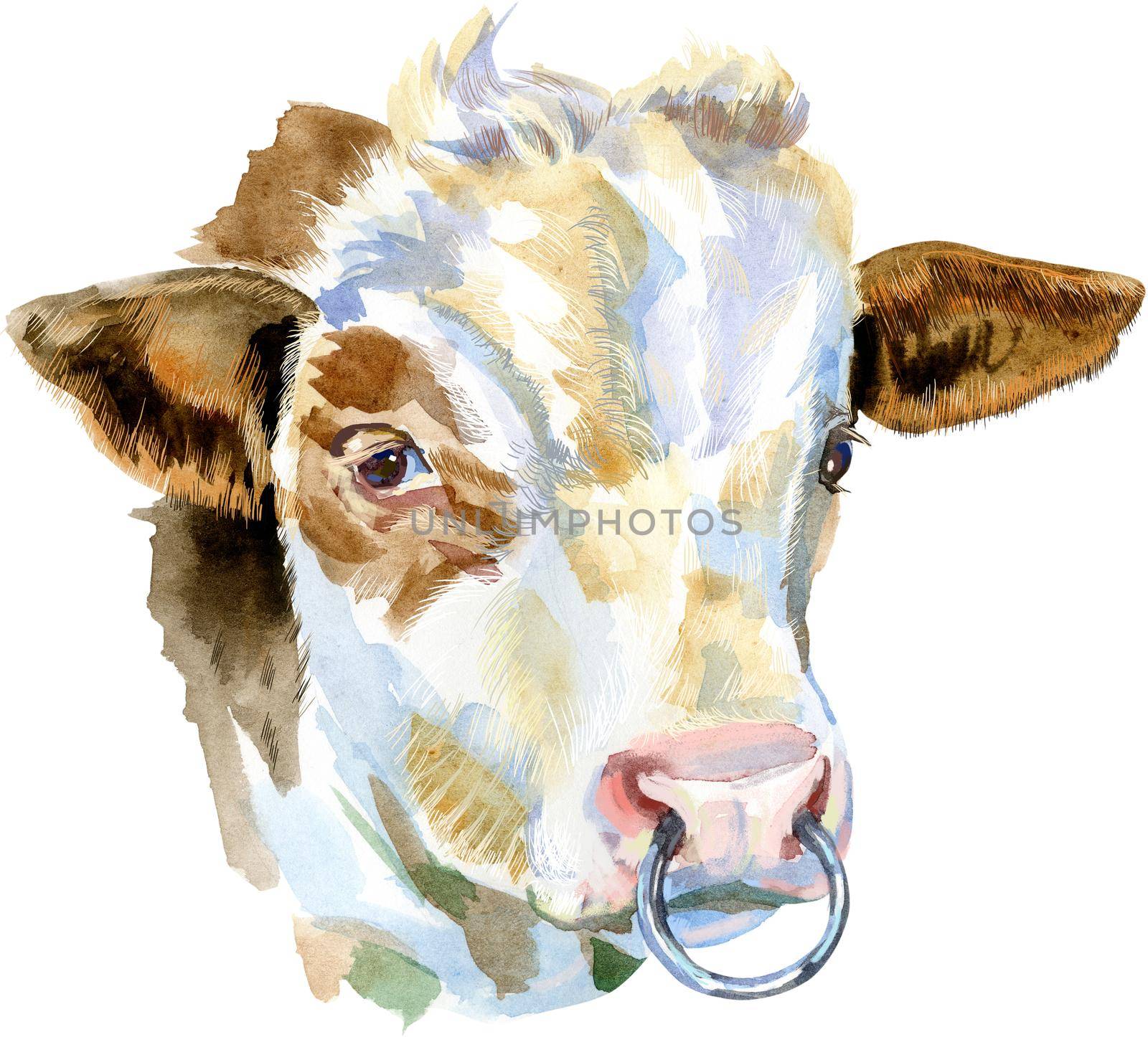 Watercolor illustration of a white bull with brown spots by NataOmsk