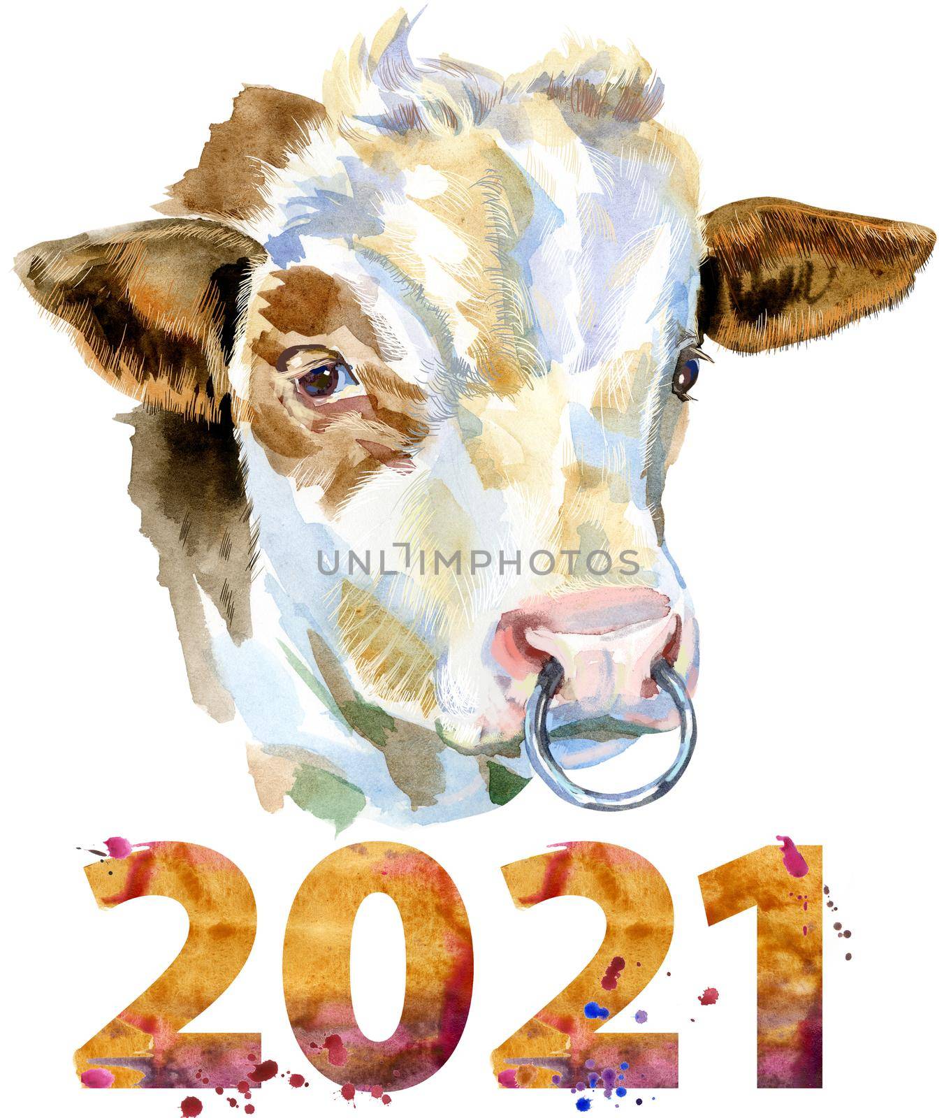 Bull with number 2021 watercolor graphics. Bull animal illustration watercolor textured background.