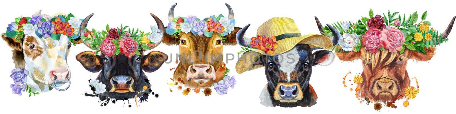 Cute border from watercolor portraits of bulls. For t-shirt graphics. Watercolor bulls illustration