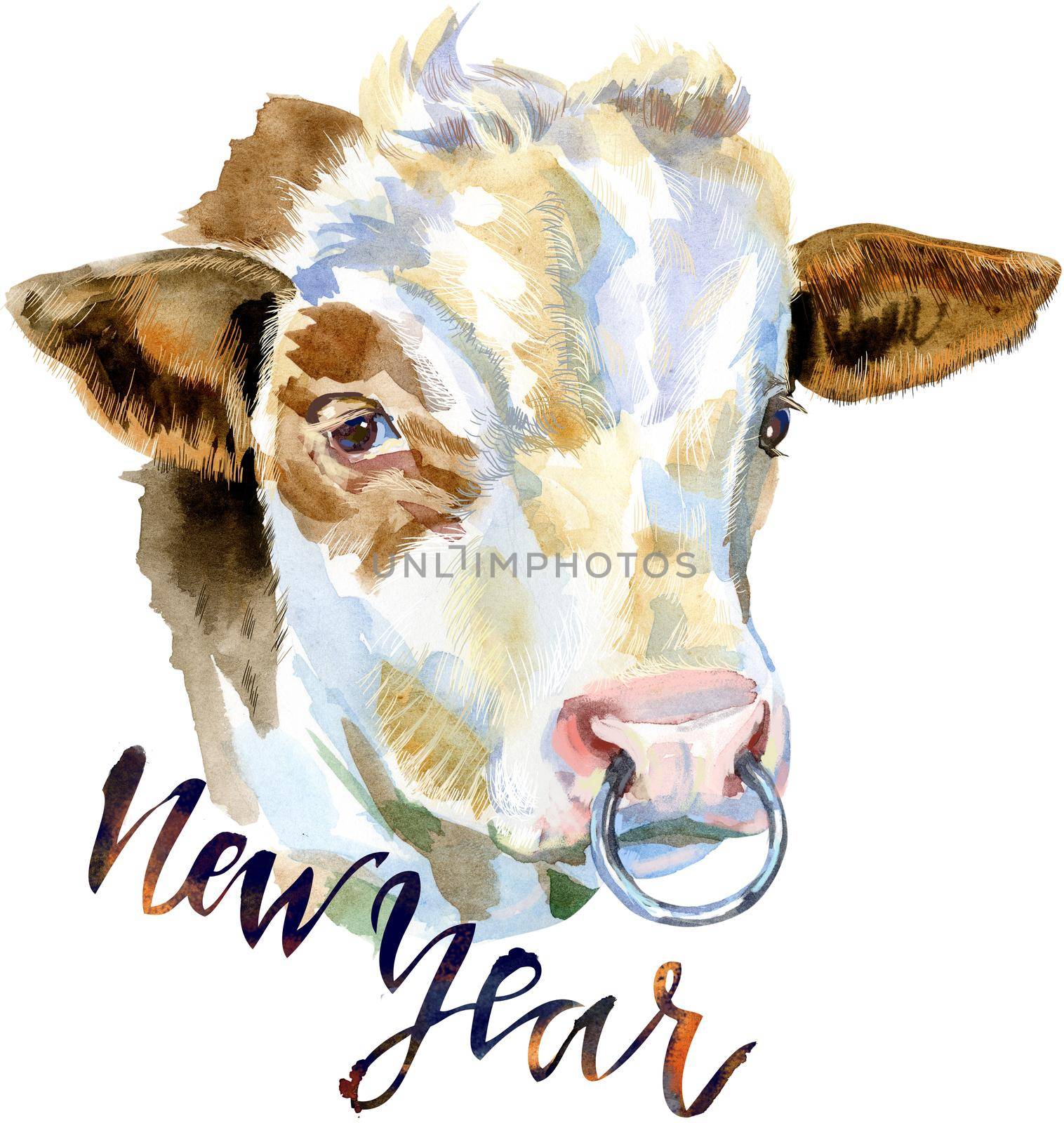 Bull with the inscription New Year. Watercolor graphics. Bull animal illustration watercolor textured background.