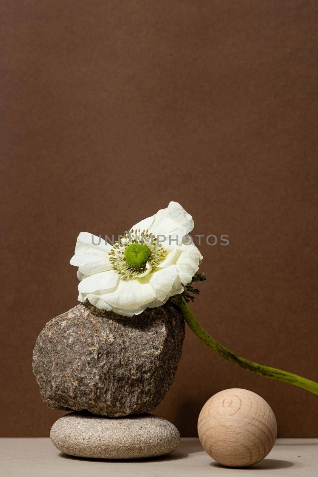 Abstract nature scene with composition of stones and dry branch. Neutral beige background for cosmetic, beauty product branding, identity and packaging. Natural pastel colors. by katrinaera