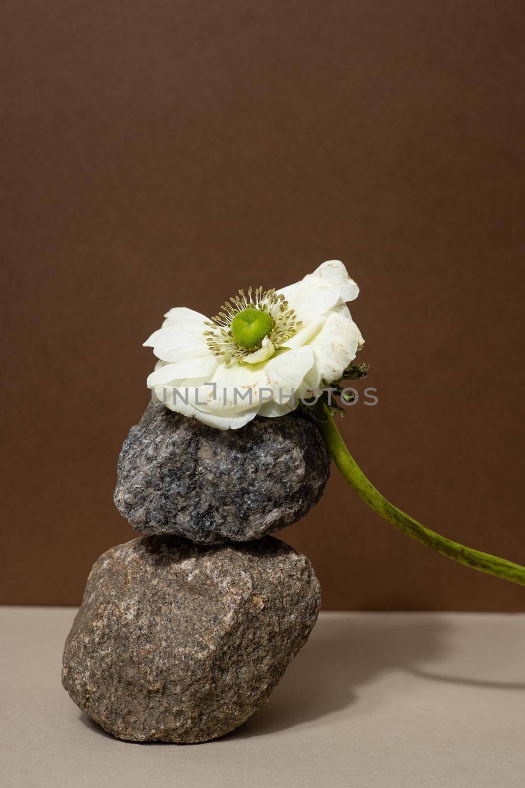 Abstract nature scene with composition of stones and dry branch. Neutral beige background for cosmetic, beauty product branding, identity and packaging. Natural pastel colors. Copy space, front view.