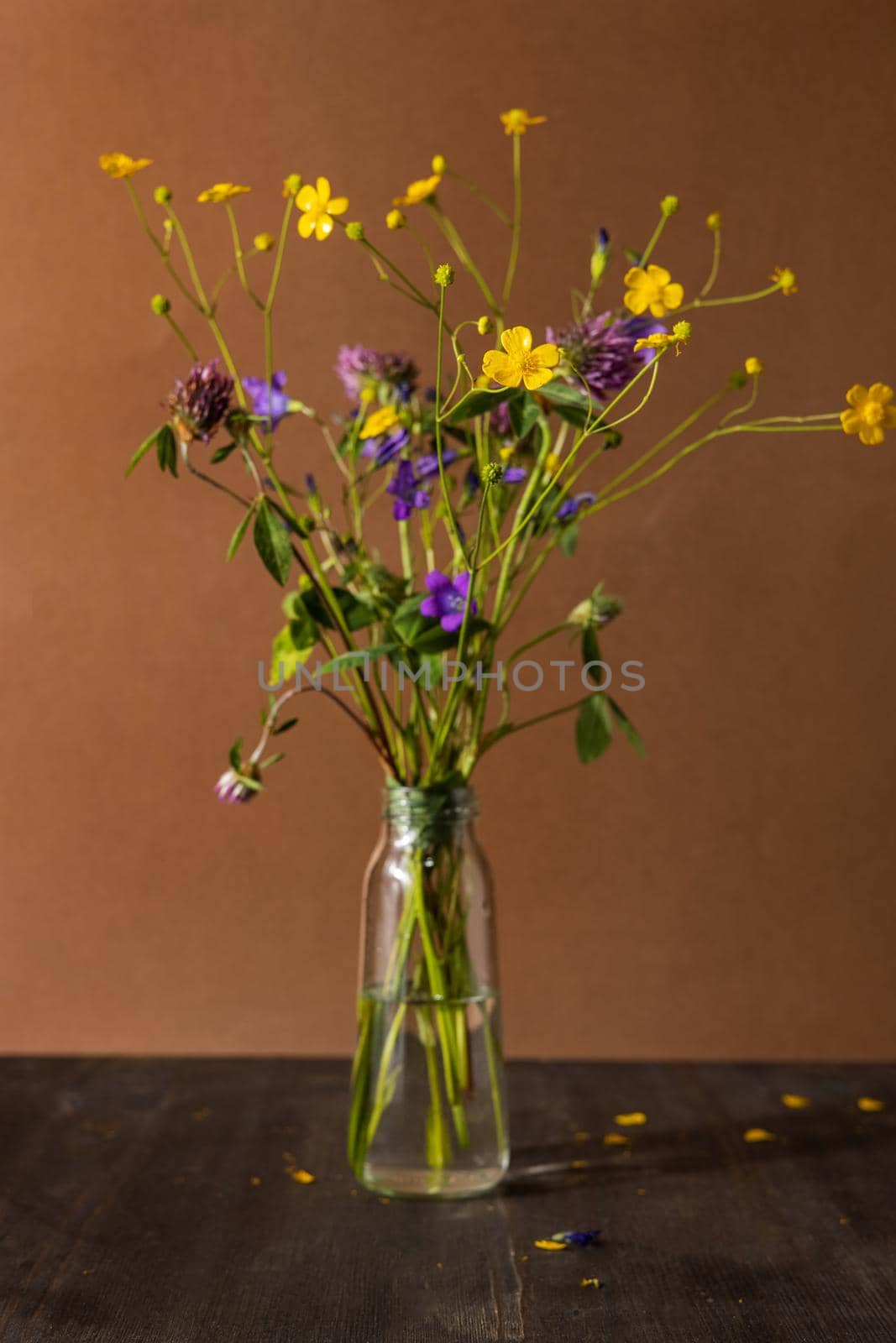 Bouquet of wild flowers on brown background, healing plant collection, still life composition side view