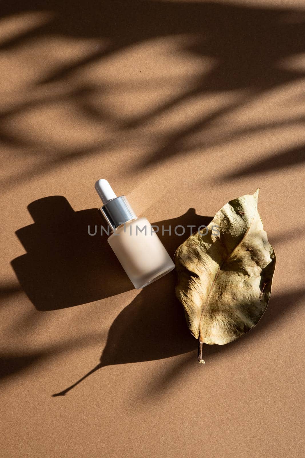 Dried flowers and makeup foundation with natural shadows on pastel background.Still life cosmetic for woman .Above view. High quality photo