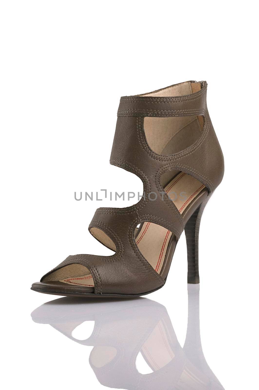 Modern fashionable women shoe shot in studio