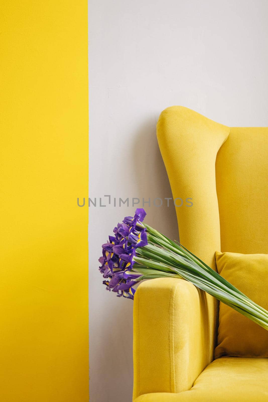 Iris bouquet on yellow chair on grey background . Holiday , mothers day, women's day background. Copy space side view