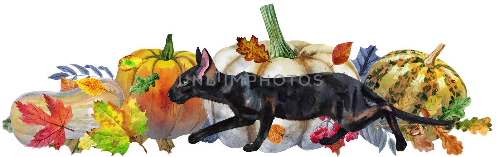 Watercolor illustration cute black cat with to a Halloween pumpkin.