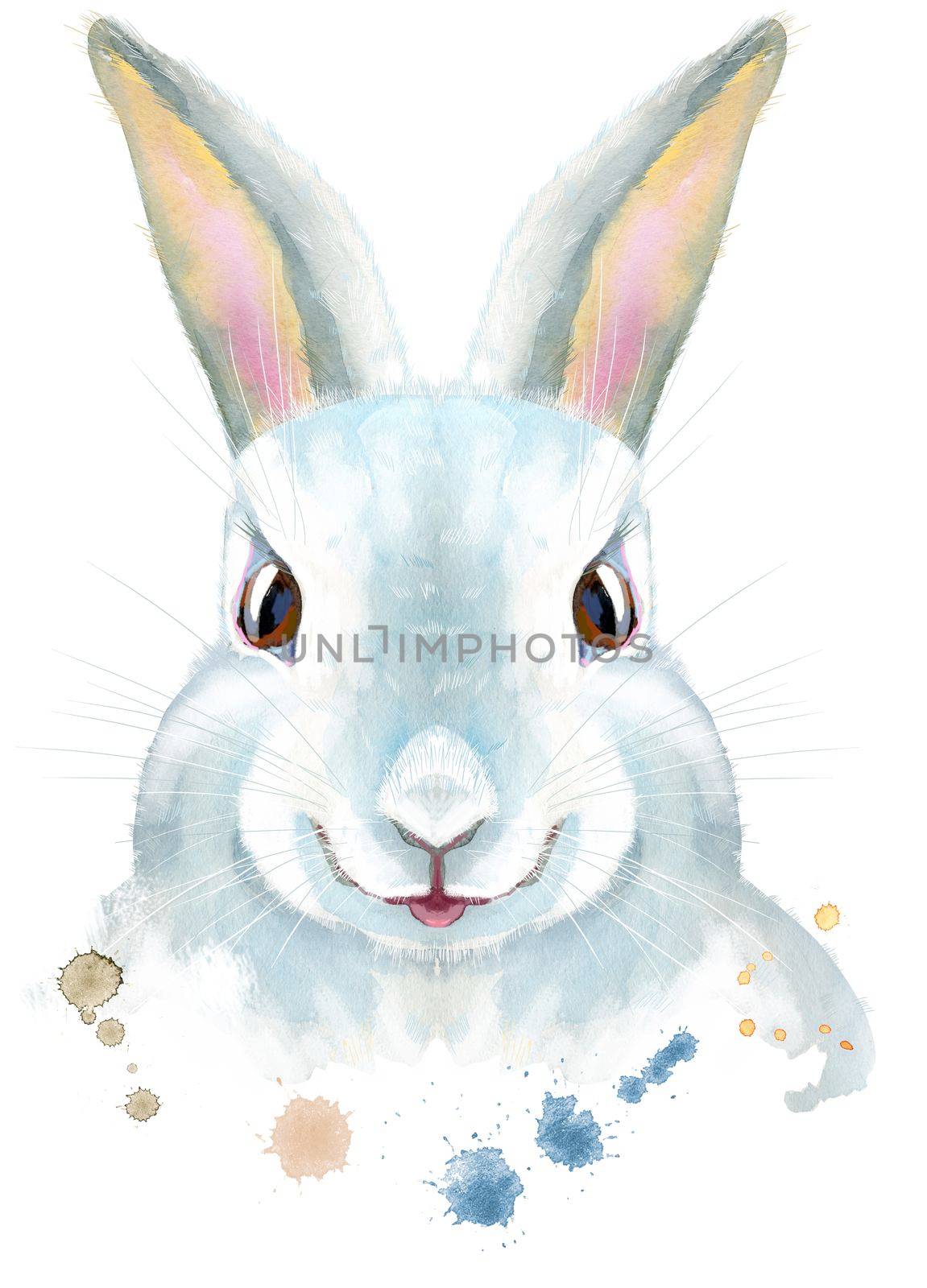 Cute white rabbit on white background with splashes, isolated
