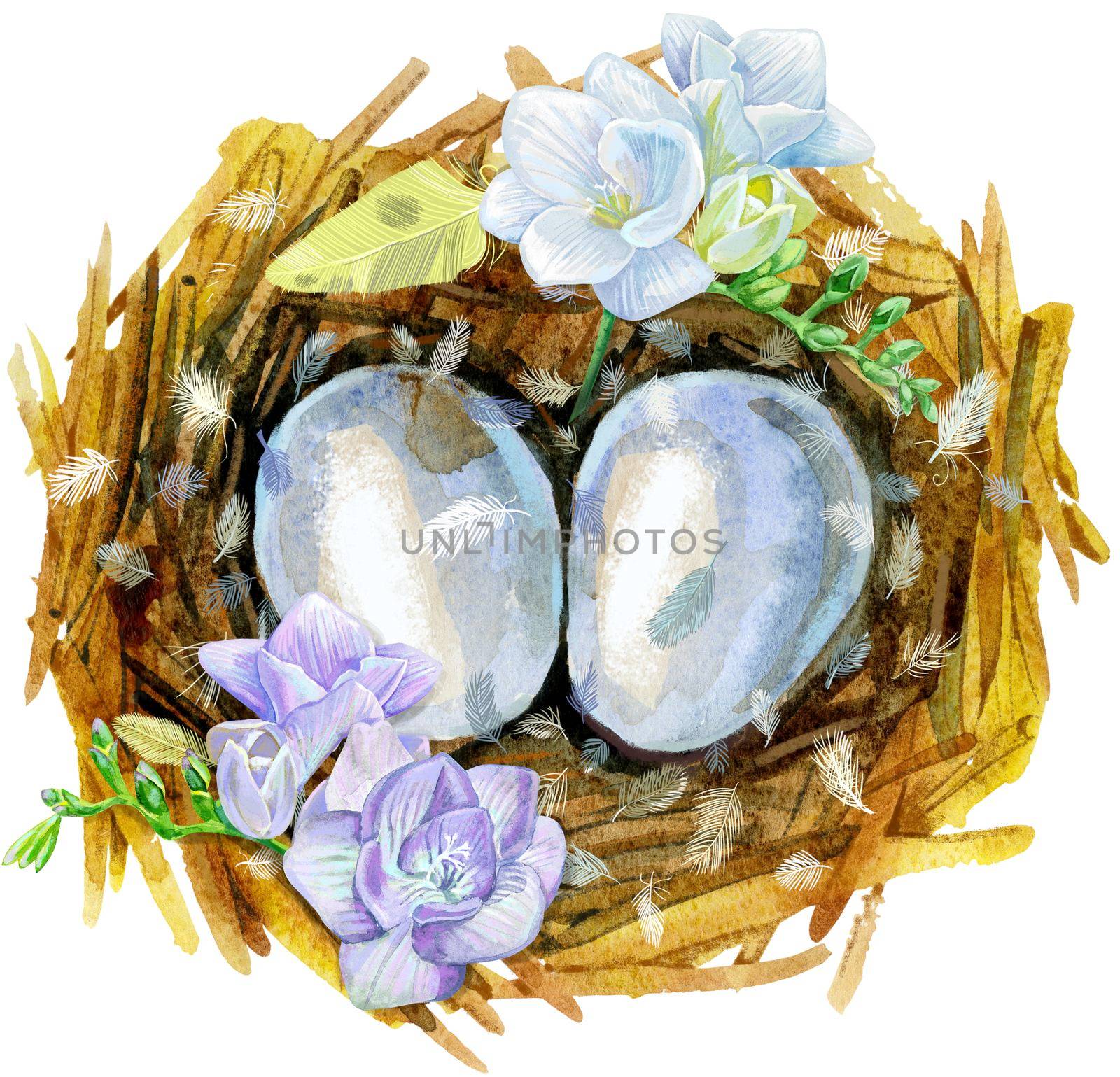 Nest with eggs and freesia. Painted with watercolors on white background. Spring decoration. Decorating for Easter.